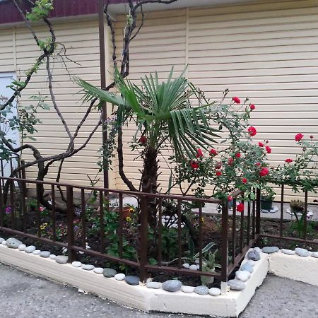 Orhidea Guest House Gagra Exterior photo