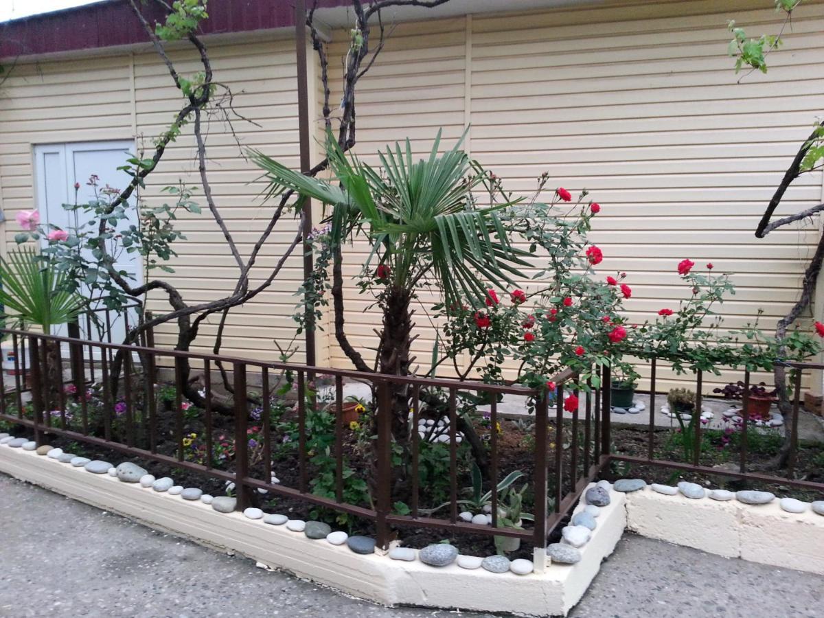 Orhidea Guest House Gagra Exterior photo