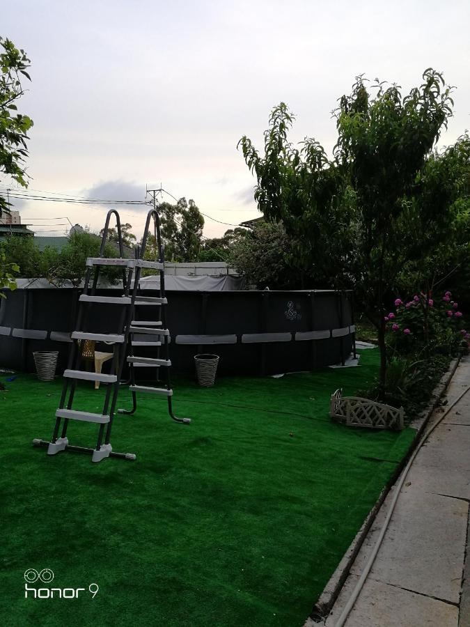 Orhidea Guest House Gagra Exterior photo